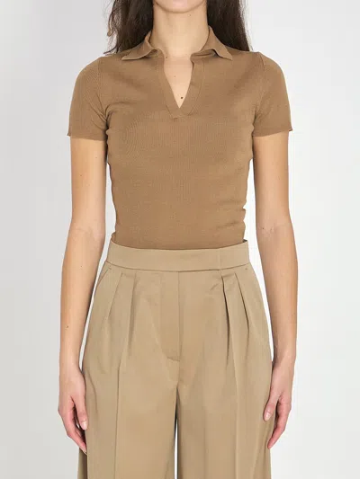 Max Mara Albero Polo In Brown