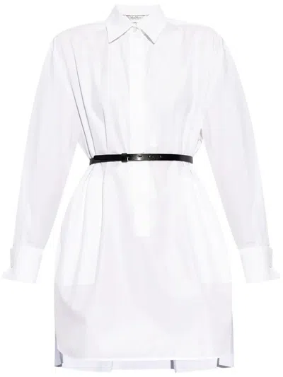 Max Mara Alcade Poplin Oversized Mini Dress In Black