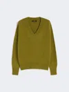 Max Mara Alpaca And Cotton V-neck Jumper In Green
