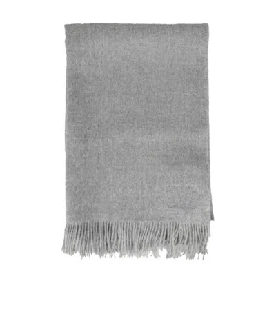 Max Mara Alpaca Hair And Silk Shawl In Gray