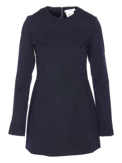 Max Mara Alpino Long-sleeve Mni Dress In Blue