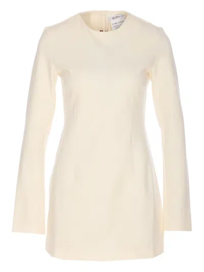 Max Mara Alpino Long-sleeved Mini Dress In Neutral