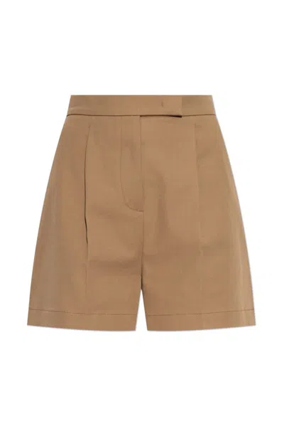 Max Mara Amburgo Shorts In Brown