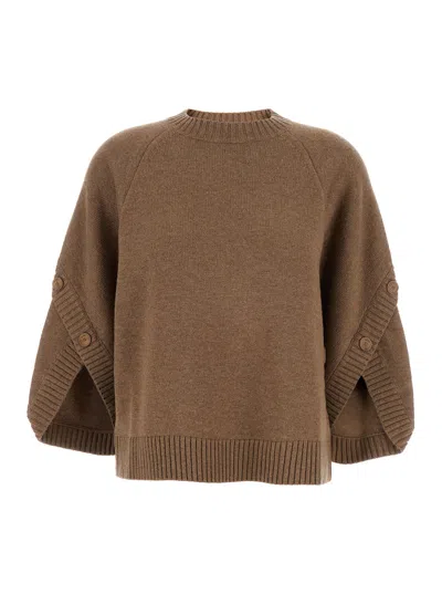 Max Mara 'ampex' Brown Crewneck Sweater In Wool And Cashmere Woman