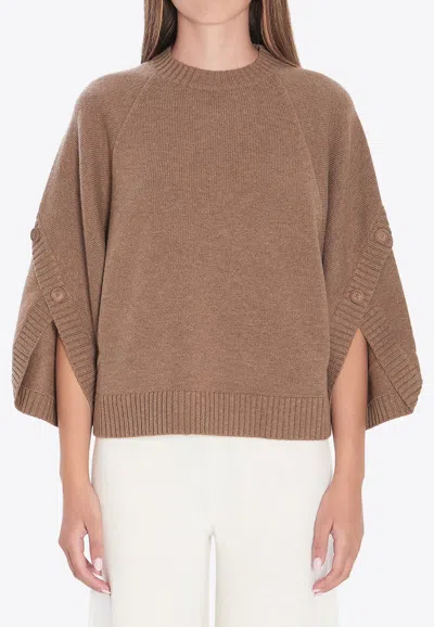 Max Mara Ampex Crossover Sweater In Wool And Cashmere In Brown