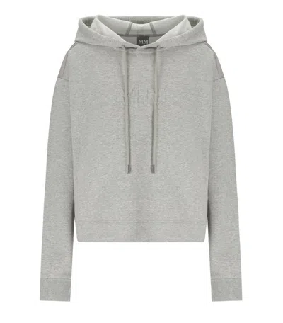 Max Mara Angora Grey Hoodie In Gray