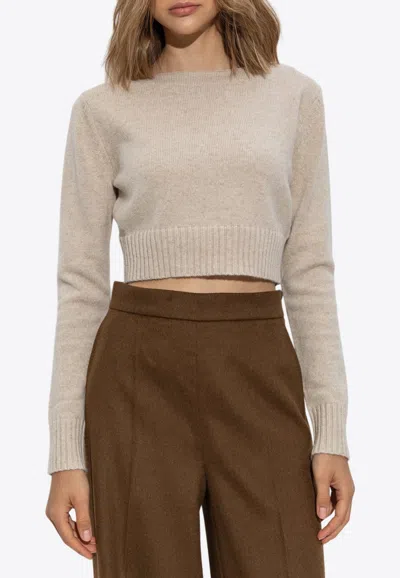 Max Mara Angri Wool Cropped Sweater In Beige