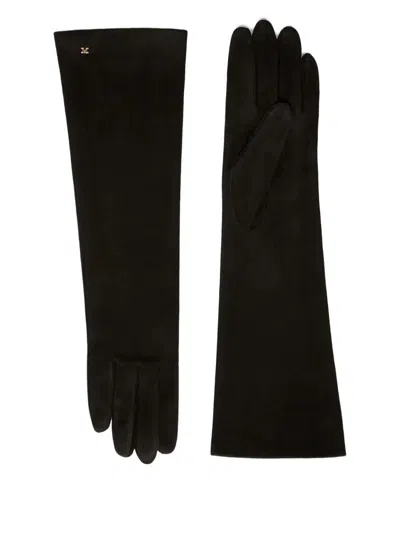 MAX MARA MAX MARA "APHIDEESUEDE" LONG GLOVES ACCESSORIES