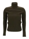 Max Mara Ribbed Wool And Cachemire Turtleneck Sweater In Green
