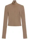 Max Mara Fitted Long Sleeve Turtleneck Knit Sweater In Brown
