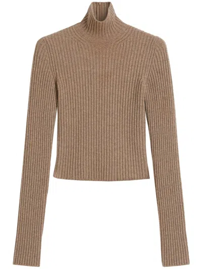 Max Mara Wool And Cashmere Ribbed Turtleneck In Brown