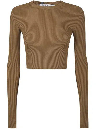 Max Mara Arcella123 Basic Sweater Clothing In Brown