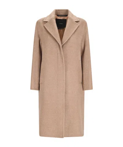 Max Mara Ardenne Long-sleeved Coat In Neutral