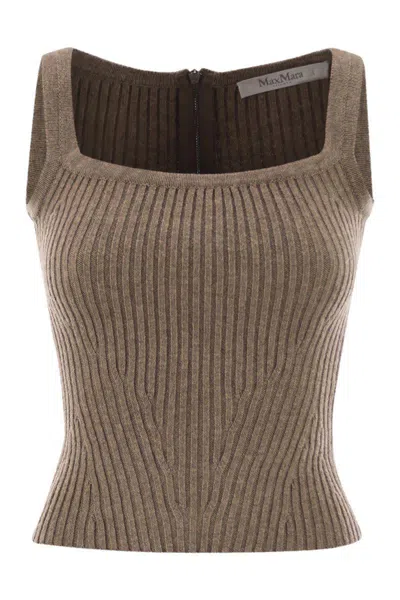 Max Mara Aretusa1234 - Wool And Cashmere Knit Top In Brown