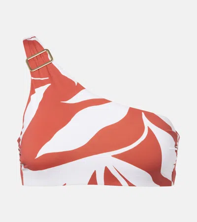 Max Mara Argenta Printed One-shoulder Bikini Top In Orange