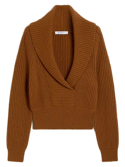 Max Mara Asburg Jumper In Brown