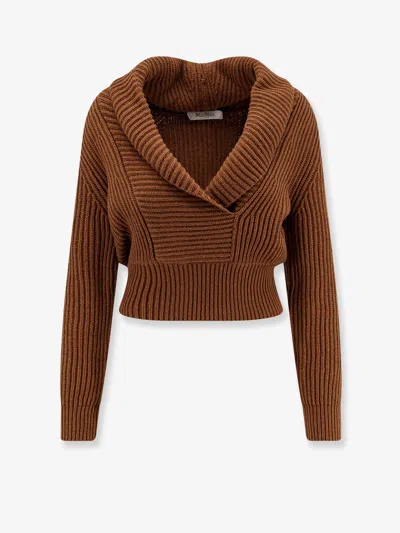 Max Mara Asburg Wool And Cashmere Sweater In Brown