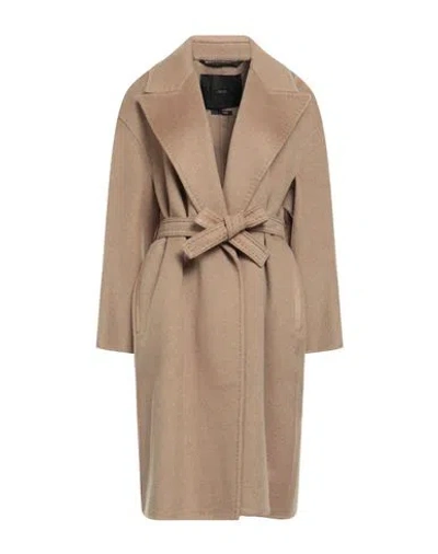 Max Mara Atelier Woman Coat Camel Size 10 Cashmere, Cow Leather In Brown