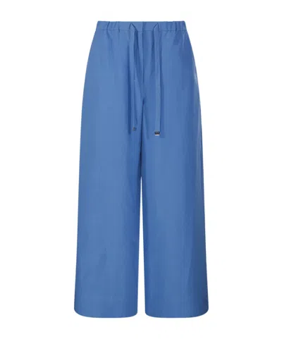 Max Mara 's  Aurora Wide-leg Pants In Blue