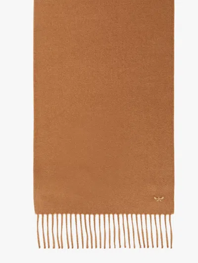 Max Mara Baby Alpaca Scarf In Brown