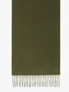 Max Mara Baby Alpaca Scarf In Dark Green