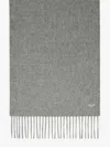 Max Mara Baby Alpaca Scarf In Light Grey