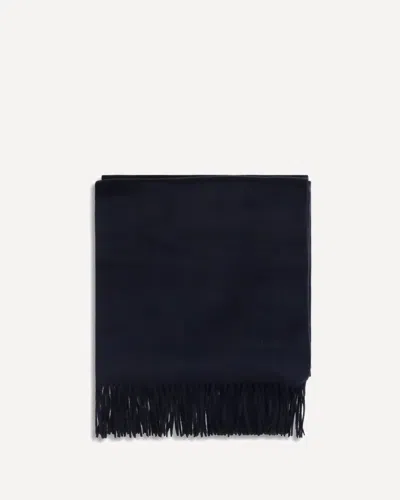 Max Mara Baci Cashmere Scarf In Blue