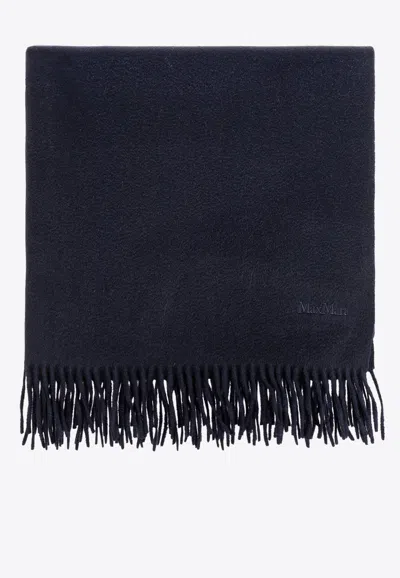 Max Mara Baci Logo-embroidered Cashmere Scarf In Navy