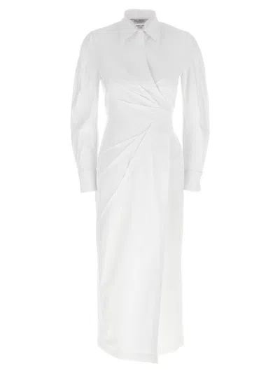 Max Mara 'balzac' Dress