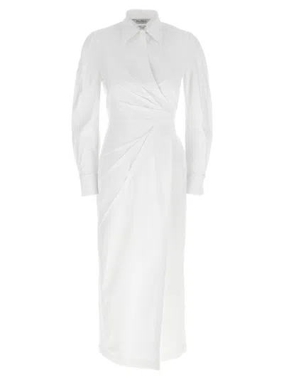 Max Mara 'balzac' Dress