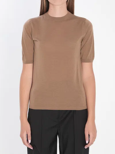 Max Mara Basic Wool Sweater In Brown