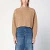 Max Mara Wool And Cashmere Blend Sweater In Beige