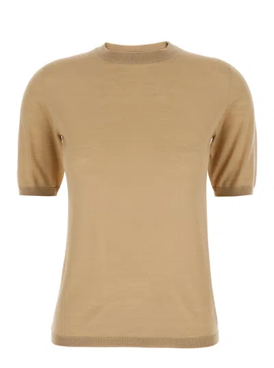 Max Mara Beige Solid Crew Neck Sweater In Brown