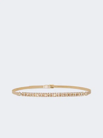 Max Mara Bejewelled Satin Belt In Powder