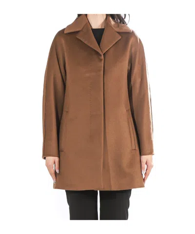 Max Mara Belize Coat In Brown