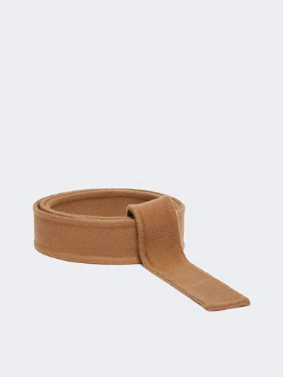 Max Mara Belt In Pure Wool Fabric In Brown