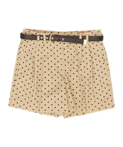Max Mara Belt Loop Shorts In Brown
