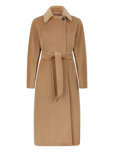 Max Mara Belted Collared Coat In Brown
