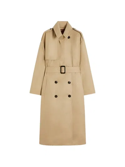 Max Mara Belted Cotton Trench Coat In Brown