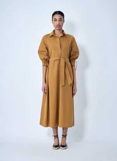 Max Mara Belted Shirt Dress In Brown