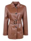 Max Mara Belted Single-breasted Jacket In Brown