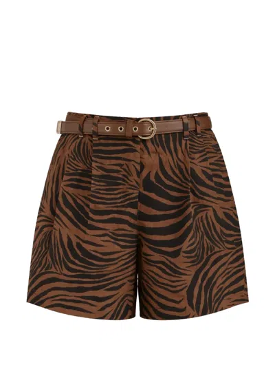 Max Mara Belted Zebra-print Cotton Shorts In Brown