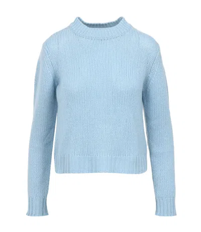 Max Mara Weekend Sweaters In Blue