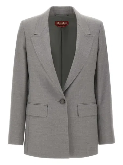 Max Mara Bolsena Single-breasted Blazer In Gray