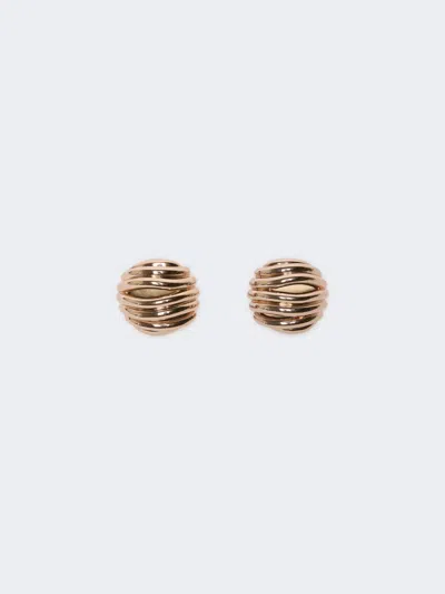 Max Mara Boucles D'oreilles En Métal Ondulé In Brown