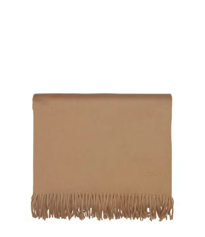 Max Mara Scarfs Brown