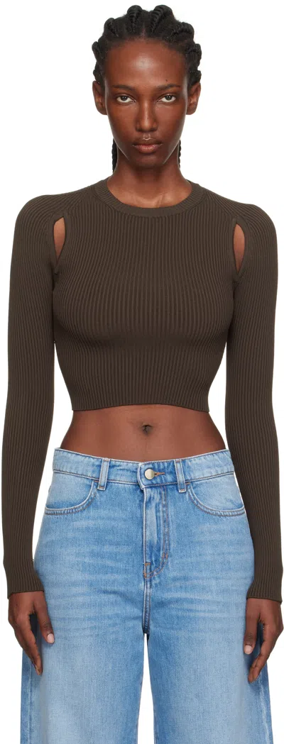 Max Mara Brown Ala Sweater