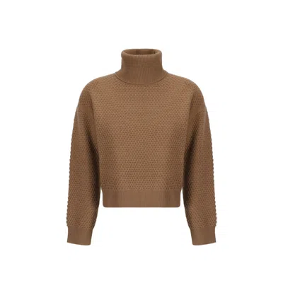 Max Mara Studio Cashmere Sweater In Brown