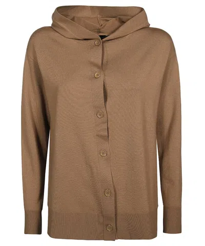 Max Mara Brown Knit Hoodie For Women In Camel