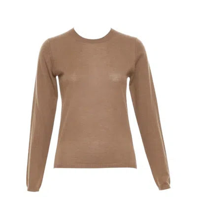 Pre-owned Max Mara Brown Lightweight Pure Cashmere Crew Neck Long Sleeve Sweater Top S